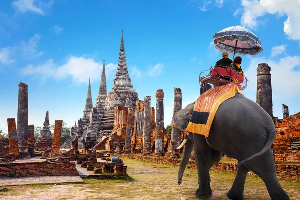 Turist ile fil Wat Phra Si Sanphet tapınağında Ayutthaya Historical Park, Unesco Dünya Mirası alanı, Tayland