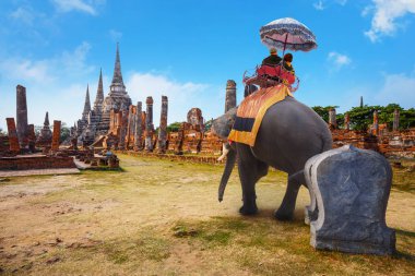 Turist ile fil Wat Phra Si Sanphet tapınağında Ayutthaya Historical Park, Unesco Dünya Mirası alanı, Tayland