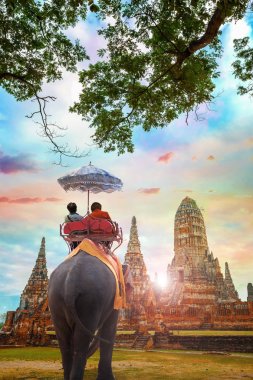 Ayuthaya Historical Park, Unesco Dünya Mirası alanı, Tayland Wat Chaiwatthanaram tapınağında fil
