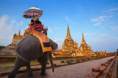Turist ile fil Wat Phra Si Sanphet tapınağında Ayutthaya Historical Park, Unesco Dünya Mirası alanı, Tayland