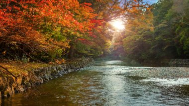 İMKB Jingu Naiku(Ise Grand shrine çalışır Isuzu Nehri -