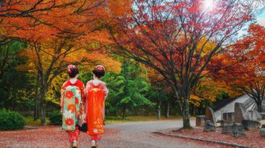 Japon geyşa Osaka Kalesi Park'ta sonbahar