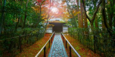 Renkli sonbahar tapınağında Koto içinde Kyoto, Japonya