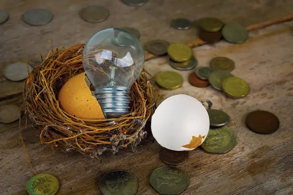 Scattered Coins with Light Bulb and Eggshel for Banking and Fina — Stock Photo, Image