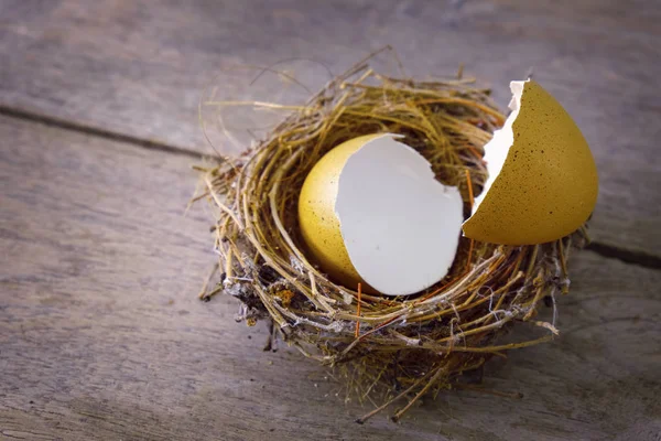 Nido d'uccello con guscio d'uovo sparso su un vecchio pannello di legno — Foto Stock