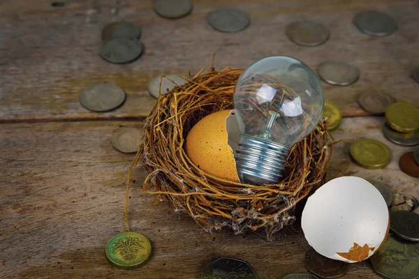 Scattered Coins with Light Bulb and Eggshel for Banking and Fina — Stock Photo, Image