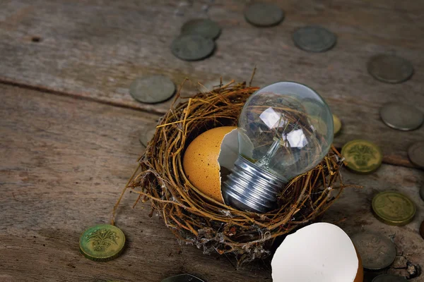 Verstreute Münzen mit Glühbirne und Eierschale für Banken und Fina — Stockfoto