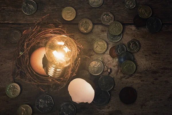 Rozptýlené mince s žárovka a Eggshel pro bankovní a Fina — Stock fotografie