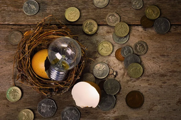 Scattered Coins with Light Bulb and Eggshell for Banking and Fina — Stock Photo, Image