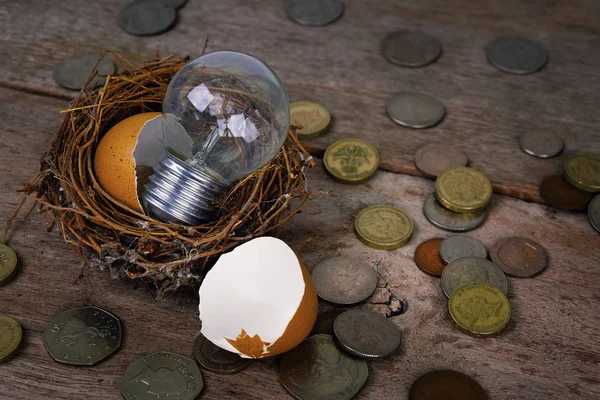 Scattered Coins with Light Bulb and Eggshell for Banking and Fina — Stock Photo, Image