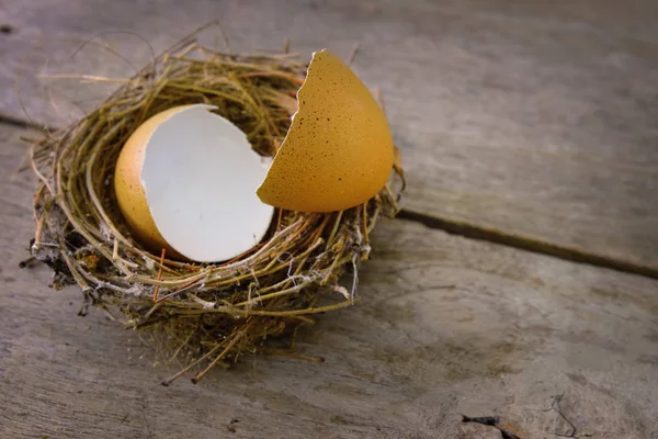 Vogelnest mit verstreuter Eierschale auf einer alten Holzplatte — Stockfoto