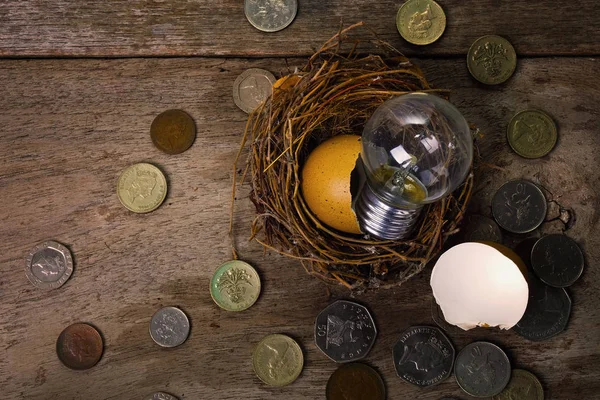 Scattered Coins with Light Bulb and Eggshel for Banking and Fina — Stock Photo, Image