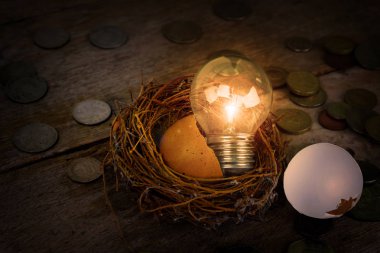 Dağınık paralar ampul ve Eggshel bankacılık ve Finans kavramı ile