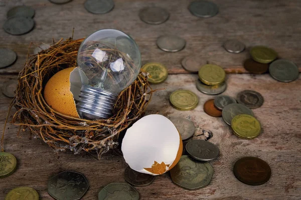 Dağınık paralar ampul ve yumurta kabuğu bankacılık ve finansal kavramı ile — Stok fotoğraf