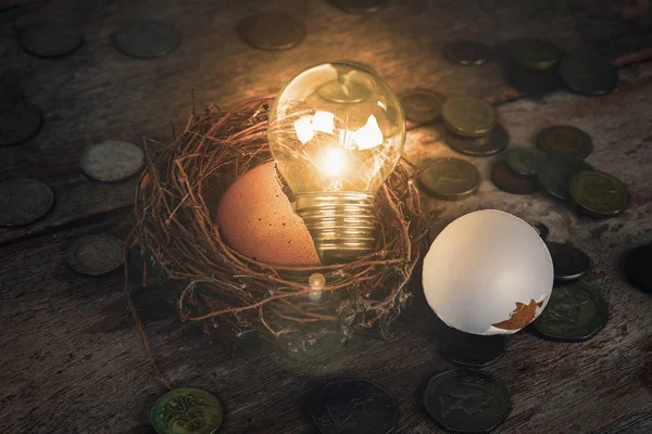 Scattered Coins with Light Bulb and Eggshell for Banking and Financial Concept — Stock Photo, Image