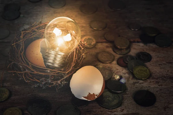 Scattered Coins with Light Bulb and Eggshell for Banking and Financial Concept — Stock Photo, Image