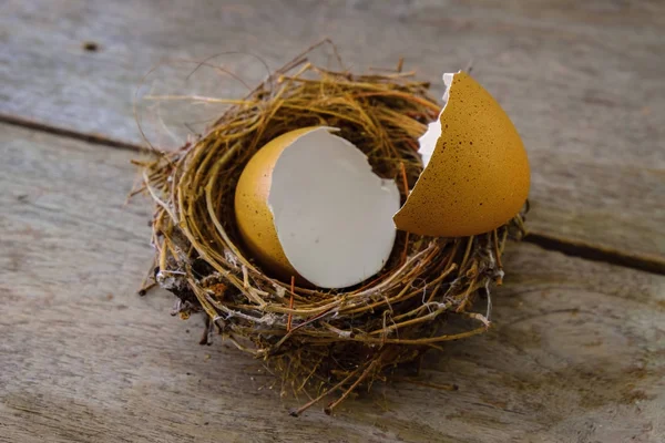 Vogelnest Met Verspreide Eggshell Een Oude Houten Paneel — Stockfoto