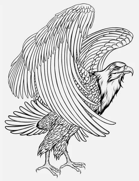 鹰拍动翅膀 准备起飞 立在地上的鹰的线形矢量图解 — 图库矢量图片
