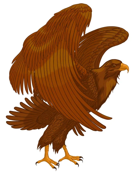 Brauner Adler Flattert Mit Den Flügeln Und Bereitet Sich Auf — Stockvektor