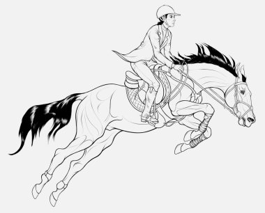 Rider on horseback overcomes a fence on show jumping course. Black and white Illustration of a stallion and sportswoman perform at competition. Vector linear clip art for equitation. clipart