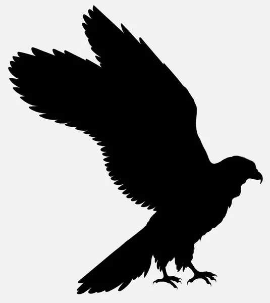 Μαύρη Σιλουέτα Γερακιού Ανοιχτά Φτερά Vector Περίγραμμα Γεράκι Ετοιμάζεται Απογειωθεί Εικονογράφηση Αρχείου