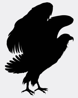 Kartal kanatlarını çırparak kalkışa hazırlanıyor. Ayakta duran bir şahinin vektör silueti.