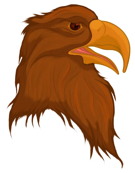 Kopf Eines Zerzausten Braunen Adlers Der Räuberisch Aussieht Farbige Vektorillustration — Stockvektor