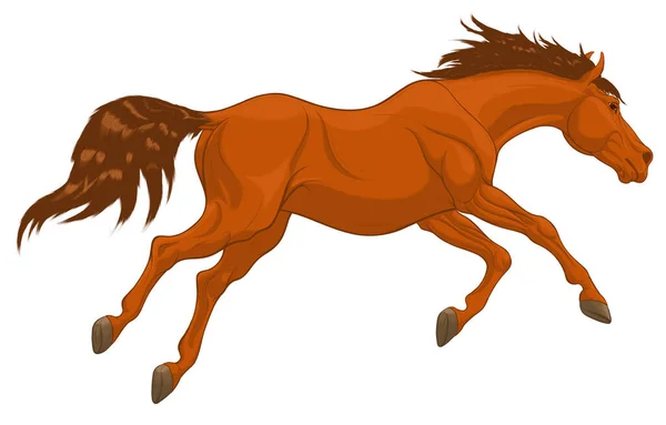 Running Sorrel Horse Long Fluttering Mane Stallion Lowered Its Head — Stock Vector
