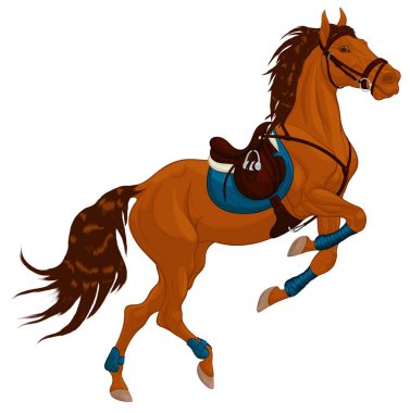 Bay Horse ön ayaklarını polo sargılarıyla sarmalayıp büktü. Eyer de dahil olmak üzere spor ayakkabısı giymiş bir aygır. At kulaklarını deldi. Binicilik malları için vektör klipsleme sanatı.