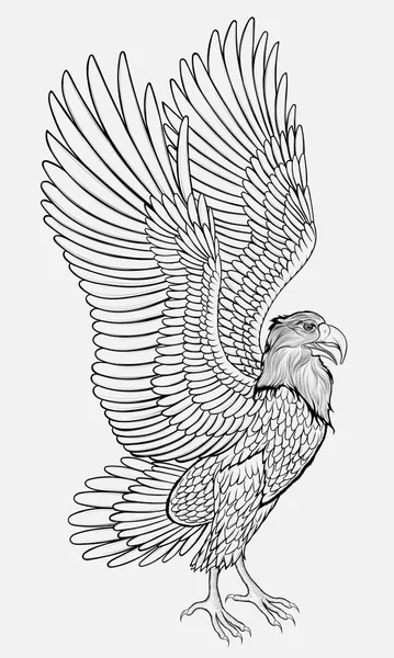 Aigle Étendit Ses Ailes Préparant Voler Illustration Vectorielle Linéaire Oiseau — Image vectorielle