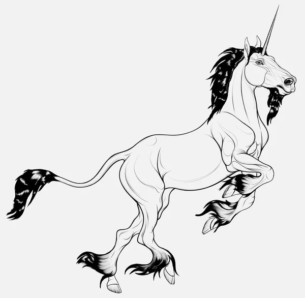 Fotos de Unicornio para colorir, Imagens de Unicornio para colorir sem  royalties