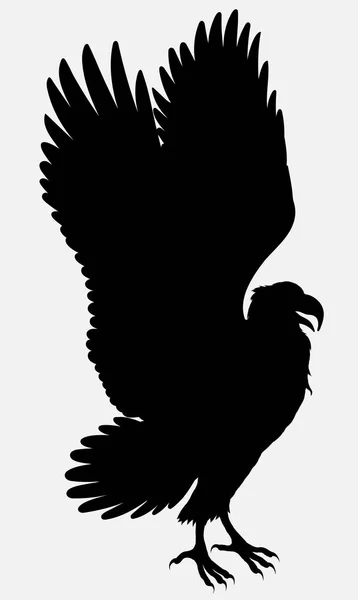 Aigle Étendit Ses Ailes Préparant Voler Silhouette Vectorielle Noire Oiseau — Image vectorielle