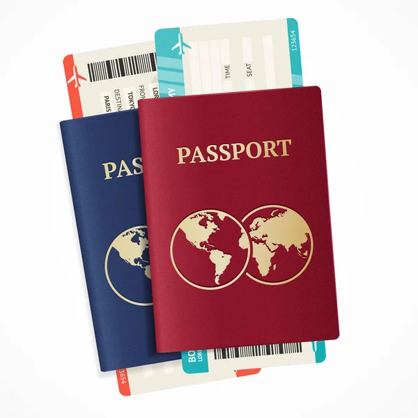 现实的国际护照套。矢量 — 图库矢量图片