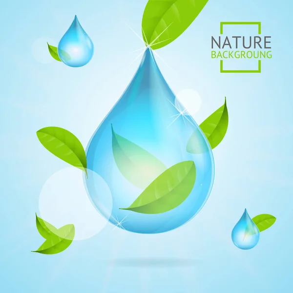 Concepto de la naturaleza Pureza transparente Gota de agua y hojas verdes de la mosca. Vector — Archivo Imágenes Vectoriales