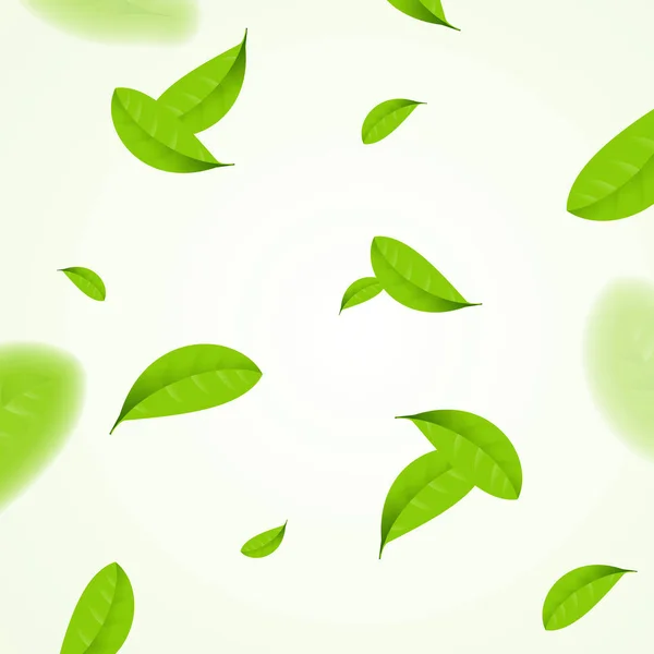 Fondo del patrón de hojas verdes mosca realista. Vector — Archivo Imágenes Vectoriales