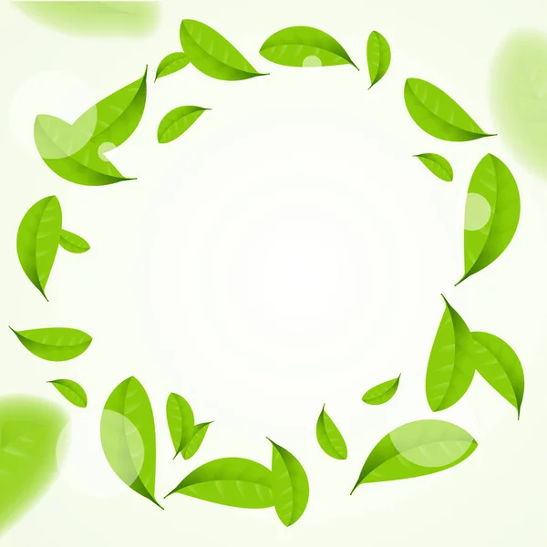 Realistic Green Leaves Circle Frame Background. Vector — Stock Vector