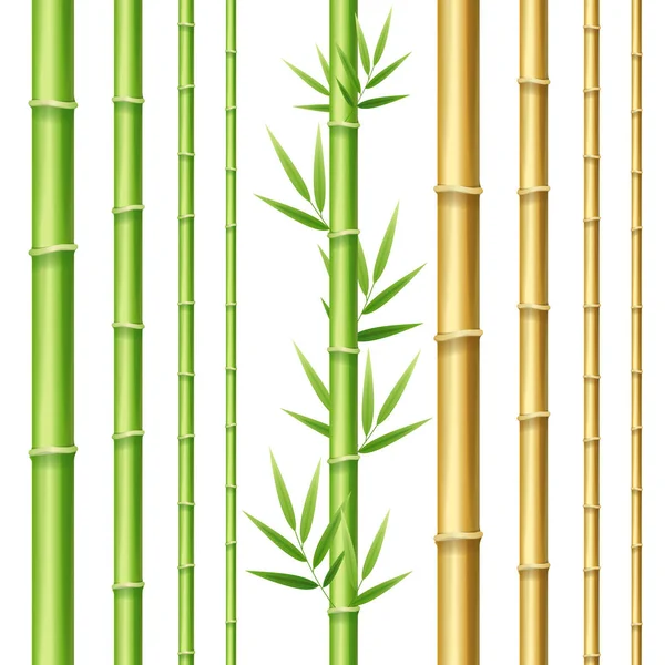 Realistyczne 3d zestaw szczegółowych pędy bambusa. Wektor — Wektor stockowy
