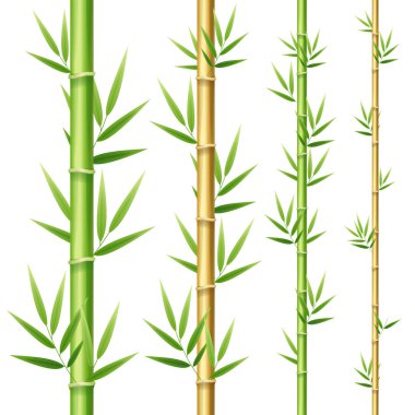 Gerçekçi 3d detaylı bambu sürgünleri küme. Vektör
