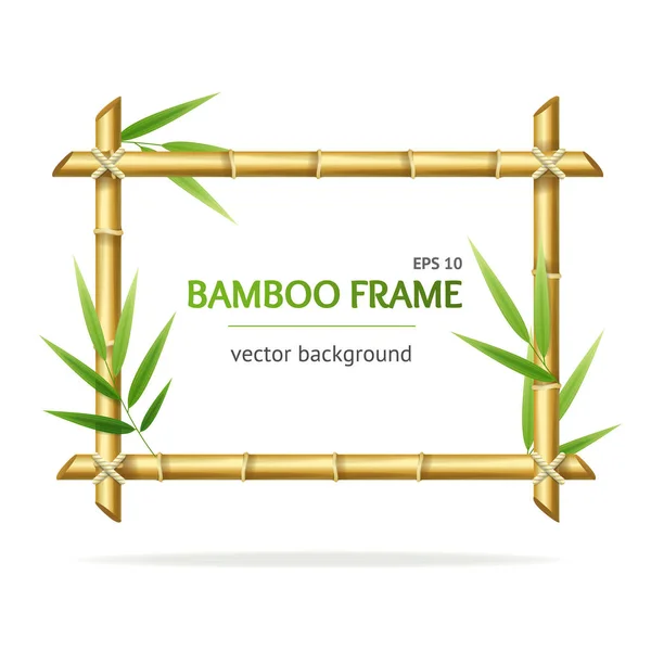 Realistic 3d Detailed Bamboo Shoots Frame. Vector — Stock Vector