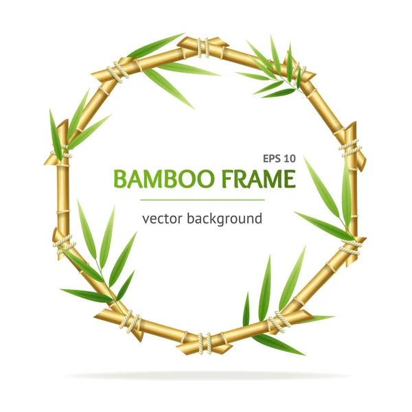 Realistische 3D detaillierte Bambussprossen Kreis Rahmen. Vektor — Stockvektor