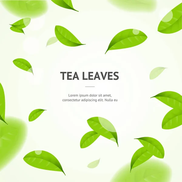 Realistic 3d Detailed Elements Vibrant Green Tea Leaves Concept Banner Card Background. Vector — Stock Vector