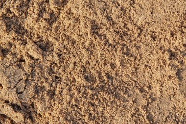 Islak kum makro çekim, doku veya arkaplan için