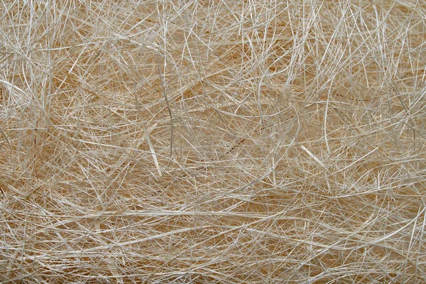 Coconut Fiber Material Making Ropes Mattresses Background Coconut Fiber — Stock Photo, Image