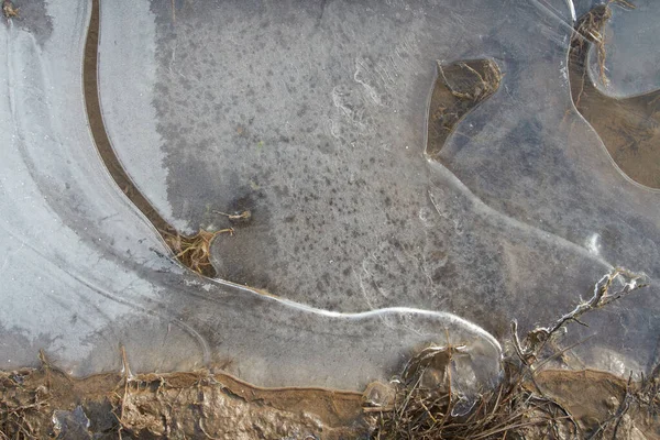 Тонкий Прозрачный Лед Поверхности Лужи Сушеной Травой Воздушные Пузырьки Ней — стоковое фото