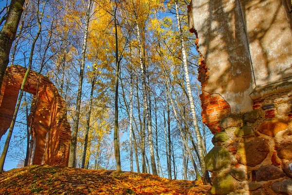 Ruiny Lesie Otoczone Drzewami Stare Opuszczone Ruiny Zamku Lesie — Zdjęcie stockowe