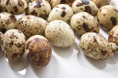 Küçük bıldırcın yumurtalarıyla desenli bahar arkaplanı. Eko ürünleri.