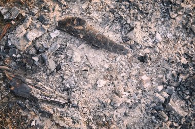 Odun yaktıktan sonra kömür ve kül kalıntıları. Kömür ve kül yandı. Pişirdikten sonra kömür ve kül.