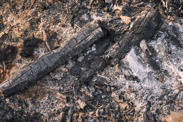 Reste Von Holzkohle Und Asche Nach Holzverbrennung — Stockfoto