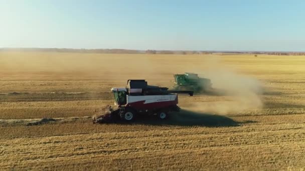 Gebiet Nowosibirsk, Dorf Kotschenevo, 27. August 2019 - kombiniert die Arbeit auf dem Weizenfeld, Weizenernte — Stockvideo