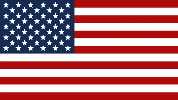 アメリカ合衆国の旗。旧国の象徴の苦しめられたテクスチャを染め. — ストックベクタ